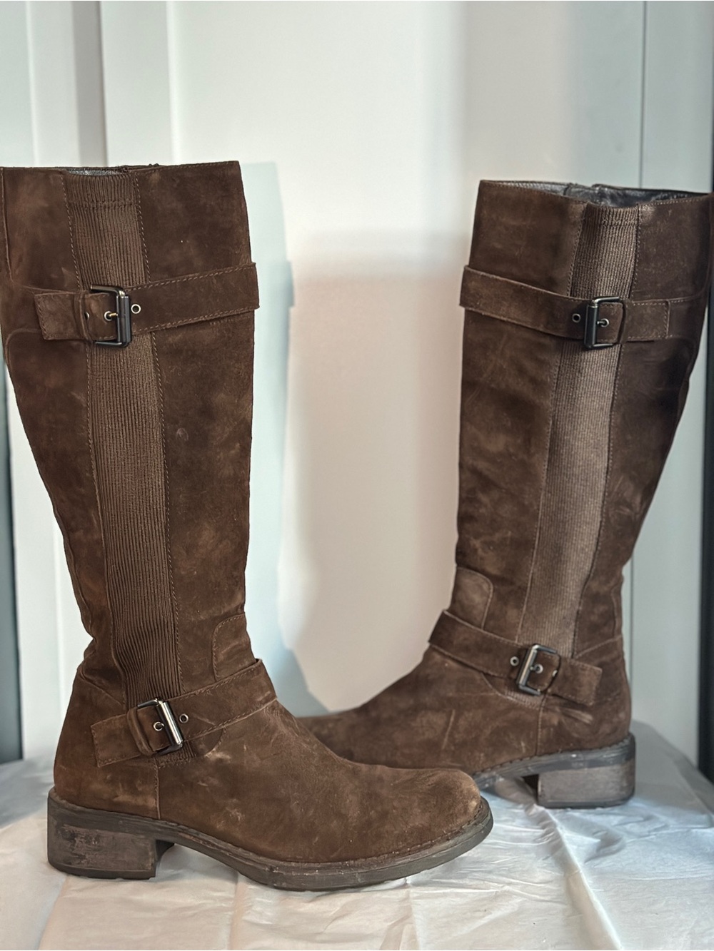 Aquatalia Tall Suede Heeled Boots